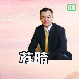 苏晴