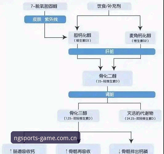 3个关键步骤搞定NG体育安装评测：从下载到畅玩的全流程解析